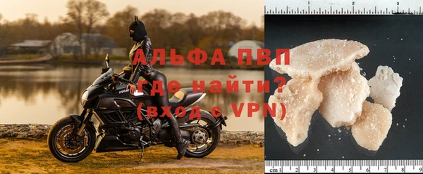 PSILOCYBIN Абаза