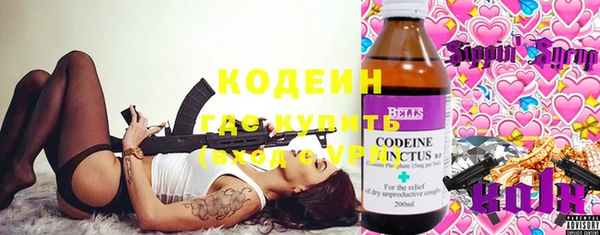 шишки Алексин
